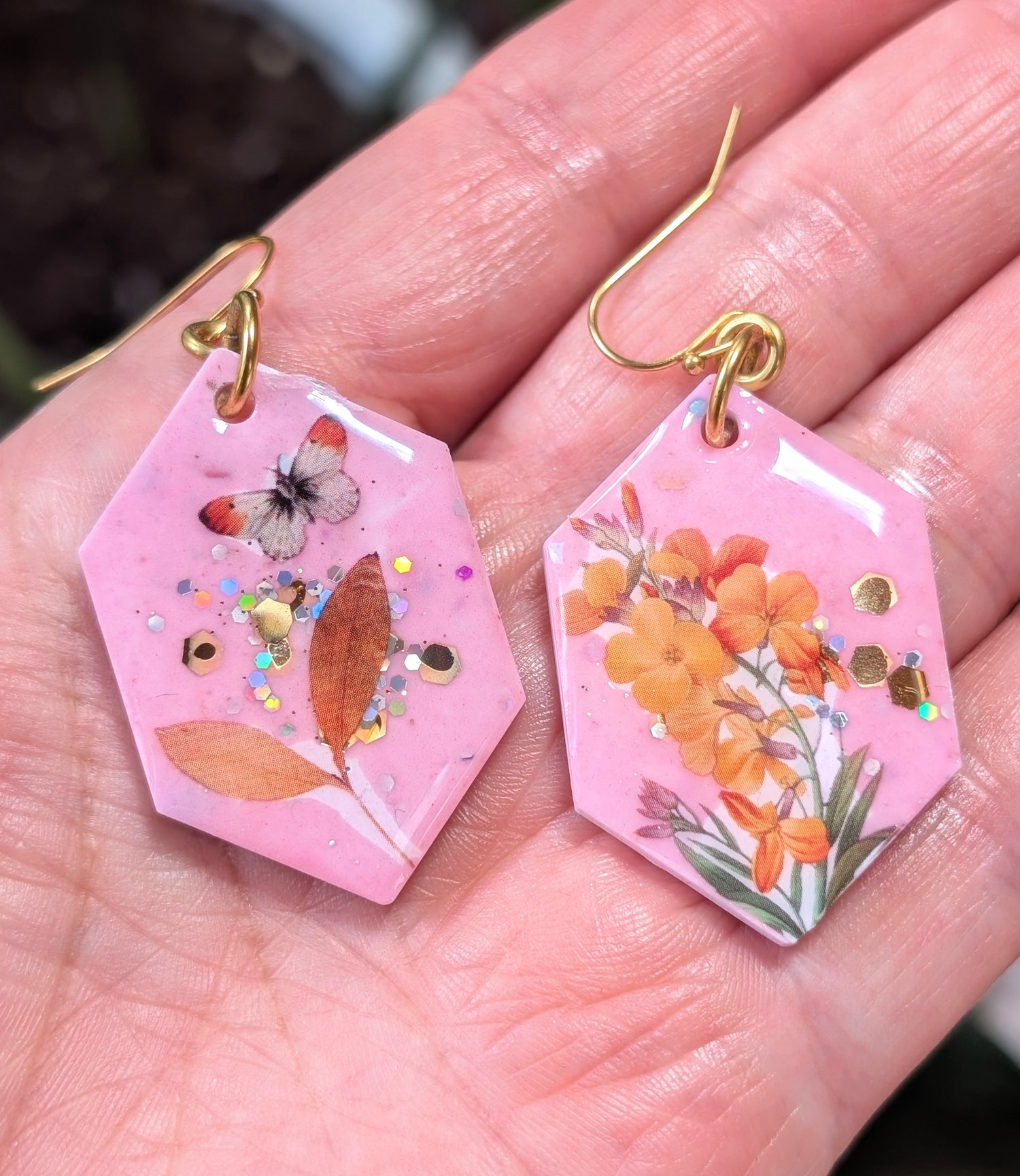 Leaf and Butterfly Collection