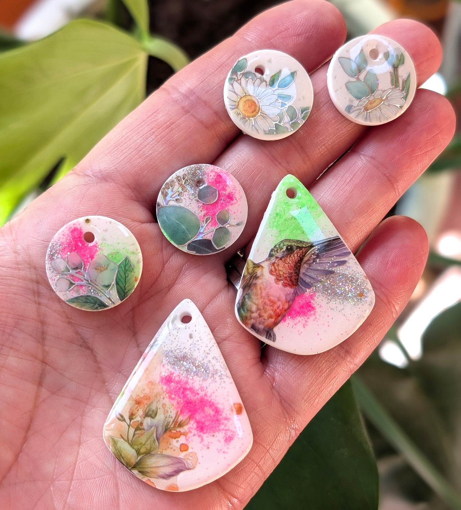 Bright Creatures Collection
