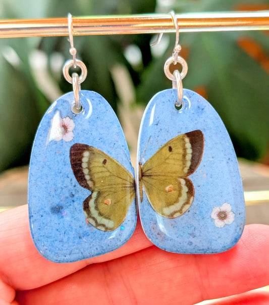 Butterfly Earrings